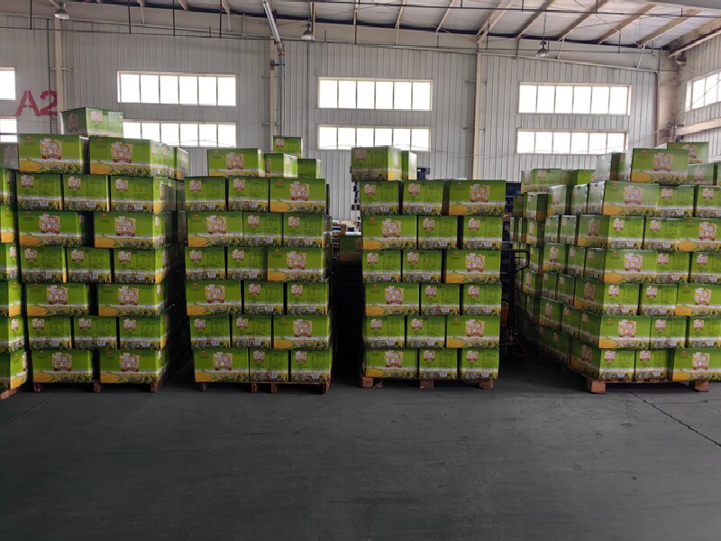 溫州至休寧縣物流公司